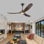 Ceiling Fan With Remote-1676954803-1648873973
