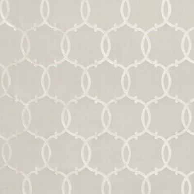Tracery Silk Fabric