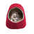 Rouge est en rupture de stock