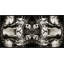 Tiger Mirror Panel 1 Print by Mat Sanders