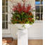Grand pot à fleurs K22-114407583-114407585