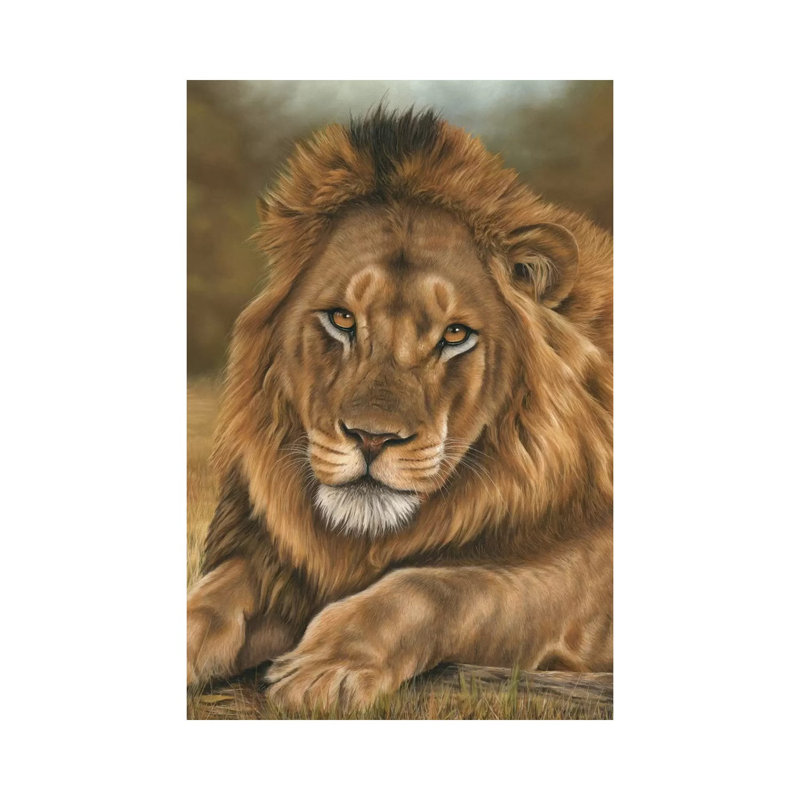 Lion 1 Piece Wrapped Canvas Painting, 20.32 cm H x 30.48 cm W