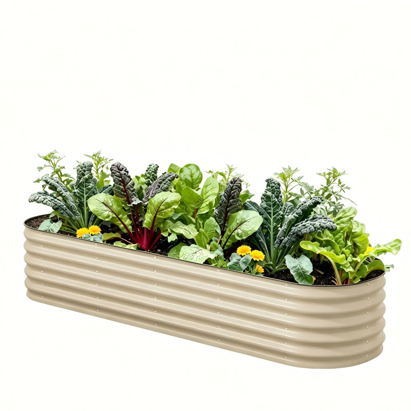 Jardinière surélevée galvanisée 8x4 Ft, Beige