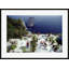 Il Canille Print by Slim Aarons-2093559277-2081800232