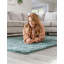 Tapis à poils longs Ryerson Jill Zarin-217481824