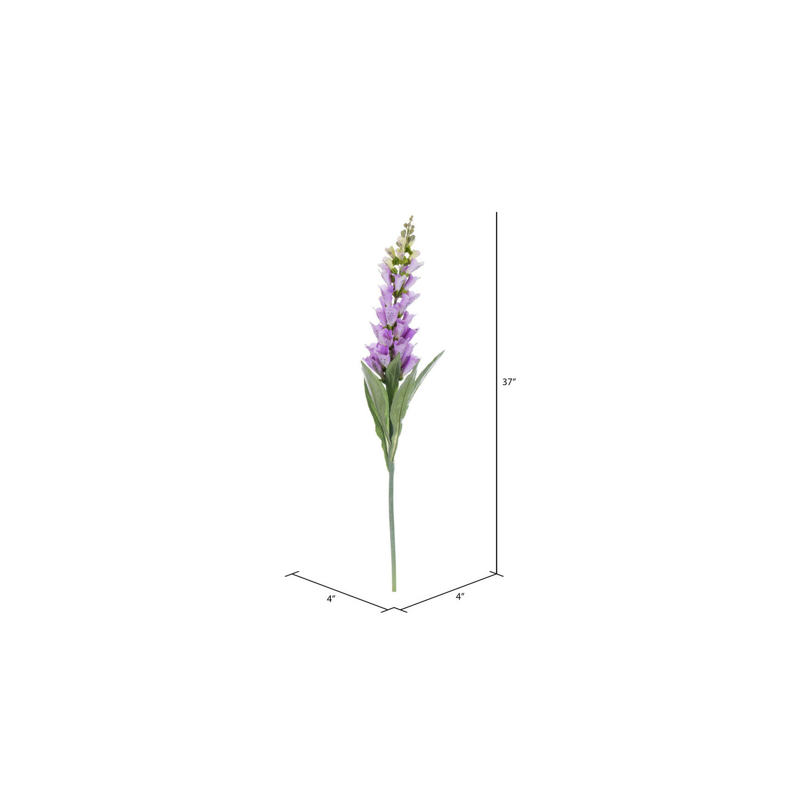 Fuchsia Stem, Lavender