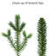 Sapin de Noël artificiel lumineux 7,5 pi