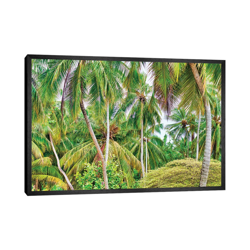 Palm Paradise by Mark Paulda - Print on Canvas, 45.72cm H x 66.04cm W x 3.81cm D, Black Floater Framed