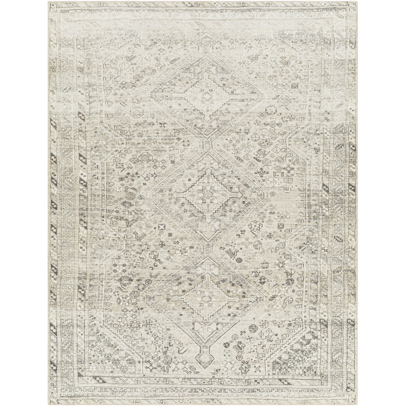 Denzyl Washable Oriental Indoor Rug, Rectangle 5'3" x 7'3"