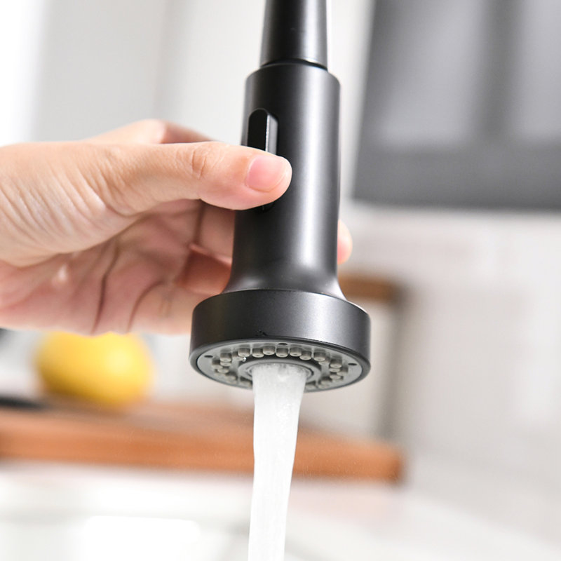 Robinet d'évier de cuisine à filtre rétractable noir mat avec grille de séchage pour vaisselle, robinet à 3 voies, tête de pulvérisation à double fonction à poignée unique, tête contemporaine en laiton massif 44