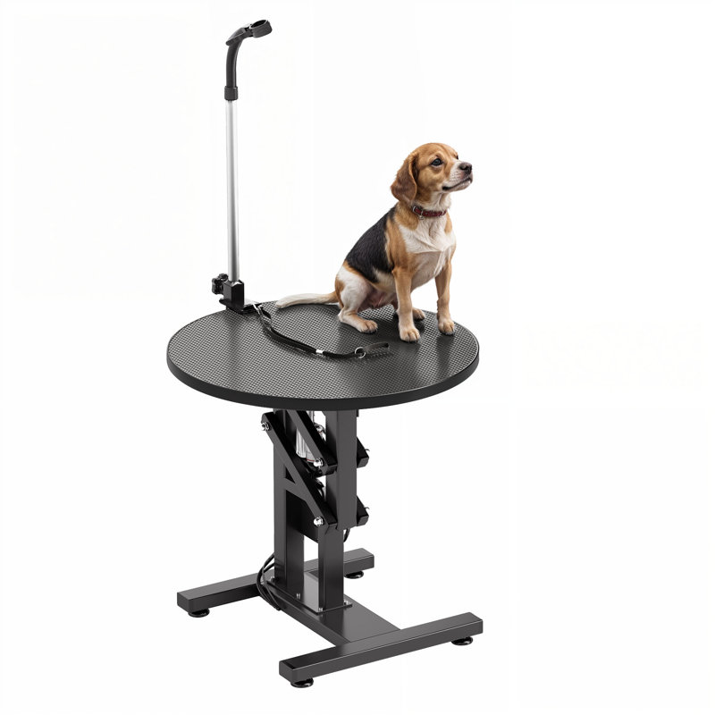 Table de toilettage électrique de qualité supérieure avec support de soufflerie et surface antidérapante
