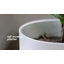 Jardinières en pot-777671177-777671179-671843974
