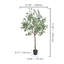 Faux eucalyptus 71,26 po