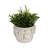 Adeline Floral Applique Planter-1714305014-1714305015