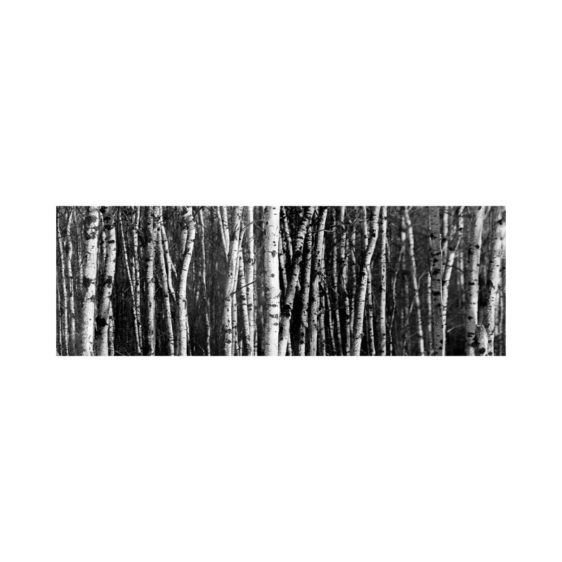 Birch Woodland Panorama By Nik Rave - Wrapped Canvas Panoramic Art Prints by Nik Rave - Wrapped Canvas Panoramic Gallery-Wrapped Canvas Giclée