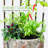 Fresh Herb Kitchen Garden Planter