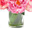 Centre de table pivoine dans un vase-105897650-105897649
