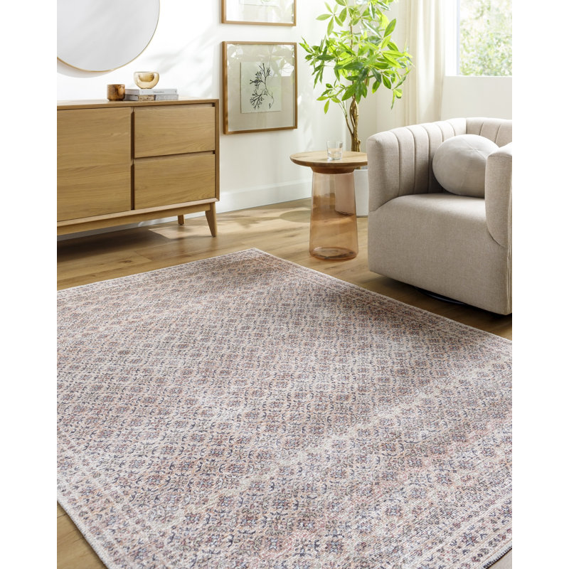 Alcaide Washable Oriental Indoor Rug, Rectangle 5'3" x 7'