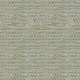 Robinson Fabric