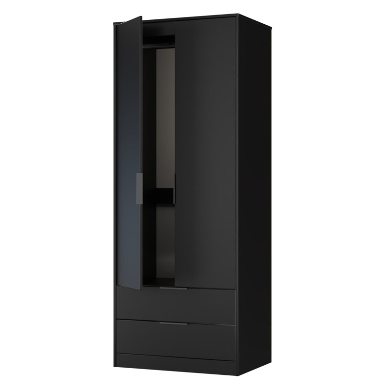 Taeyah 2 Door 2 Drawer Wardrobe, Black