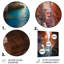 Canyon Antelope Turquoise Drips - Canyon Art mural en métal, salon-758028635