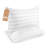 Bed Pillows Queen Size 2 Pack Soft Down Alternative Microfiber Pillows for Sleeping