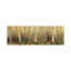 Forest Light by Allison Pearce - Panoramic Print on Canvas-1192905885-1192905832