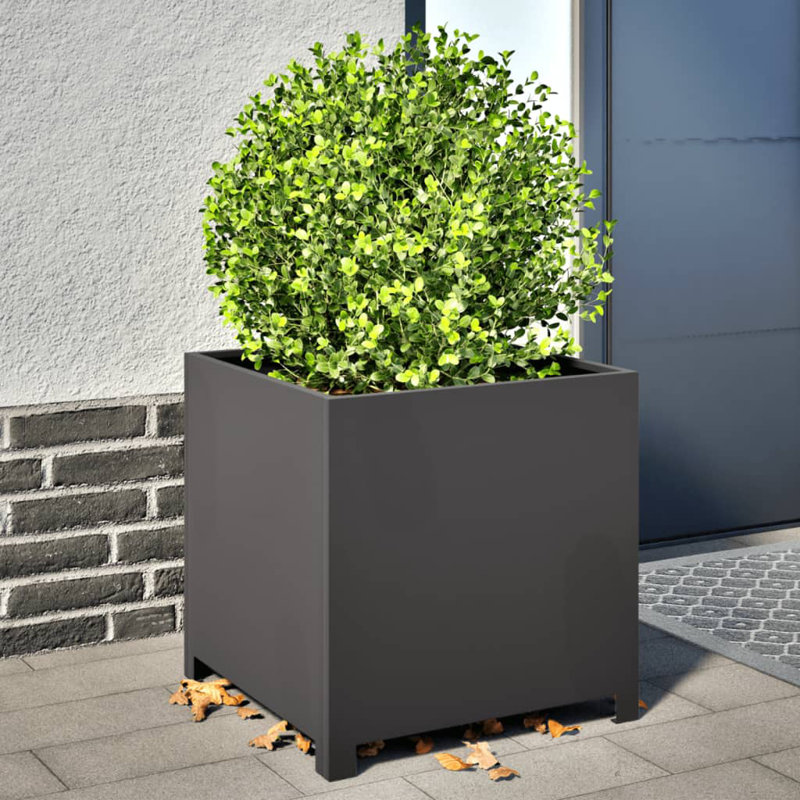 Ashvini Planter Box, 19.69" H x 19.69" W x 19.69" D, Black