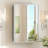 Cyrille Recessed & Surface Framed Medicine Cabinet with Mirror and Shelves-860957889-860957902