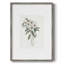 Mountain Laurel I, reproduction encadrée - bois massif 50790-269865781