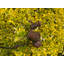 Isaiah Animals Metal Garden Statue