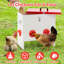 Mangeoire automatique pour poulets sans déchets, mangeoires en métal pour poulets, poulets, canards et dindes