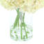 Hydrangeas Arranged in a Glass Vase-2052624387