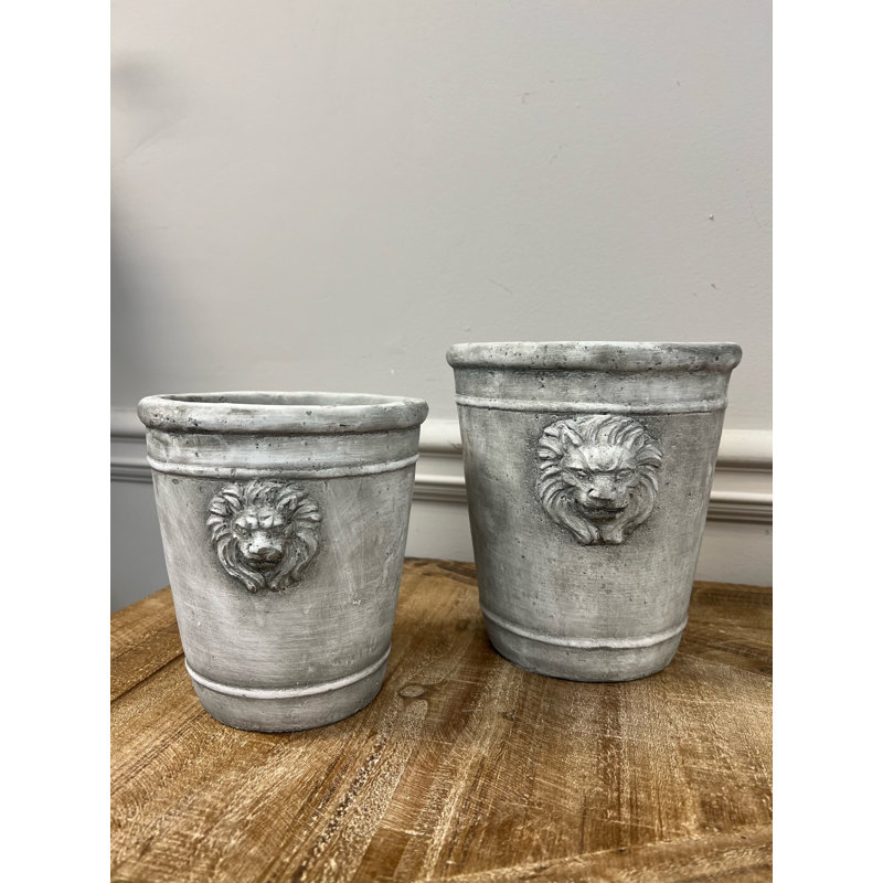 Lion Head Concrete Pot Planter, 6.5" H x 6.1" W x 5.7" D