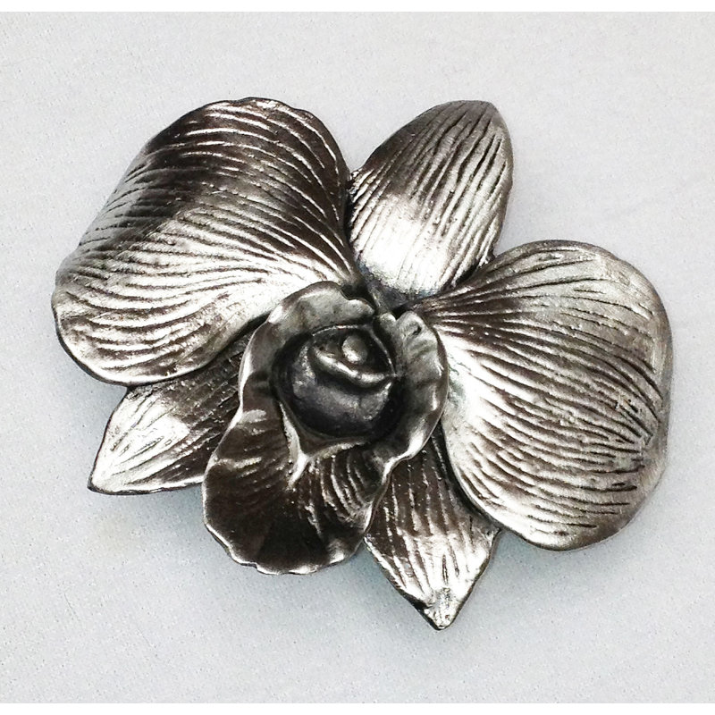 Botanical Oversized Botanical 3" Length Flower Novelty Knob, Brass