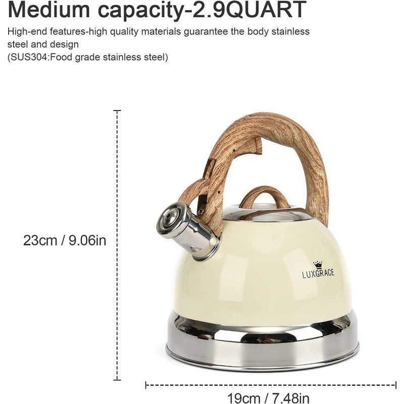 Bouilloire pour cuisinière