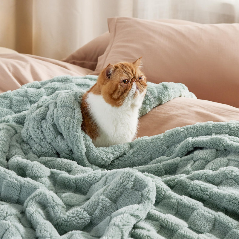 Bedsure Chequered Soft Fluffy Fleece Throw Blanket , Sage Green, 200cm x 150cm