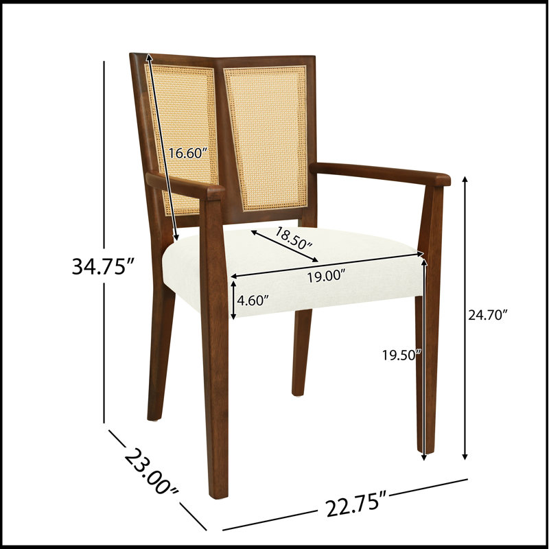 Ensemble de 2 chaises de salle à manger élégantes en rotin avec accoudoirs à dossier, durables et confortables pour les intérieurs modernes