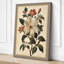 Study Botanical - Wrapped Canvas-475802030-475802041