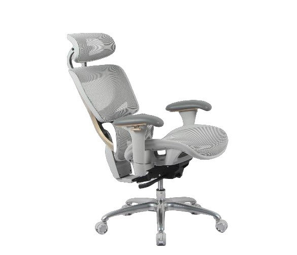 Chaise de bureau Malillany