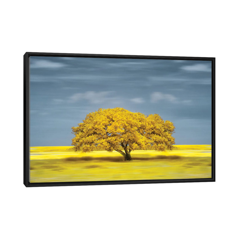 Lonely Yellow On The Field by Glauco Meneghelli - Floater Frame Print on Canvas, Black Floater Frame, 101.6 cm H x 66.04 cm W
