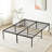 Tesfai 14'' Steel Platform Bed-867532884-823876194
