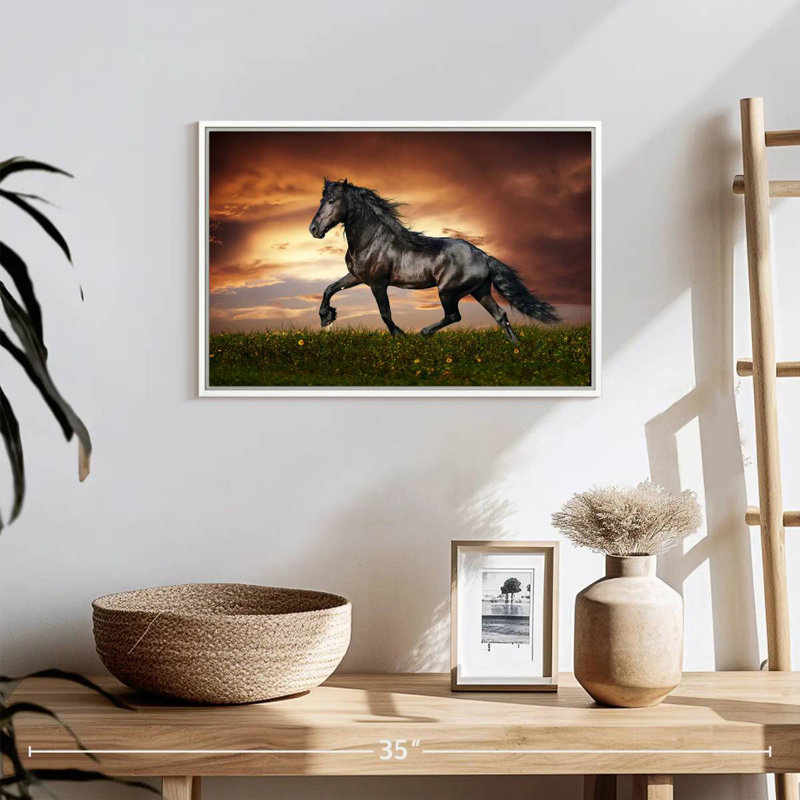 Cheval baroque, 19 po x 13 po, Cadre flottant blanc