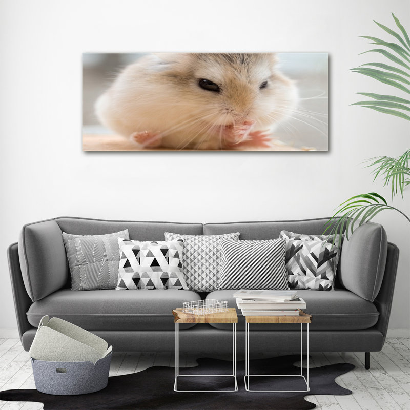 Hamster - No Frame Print on Canvas