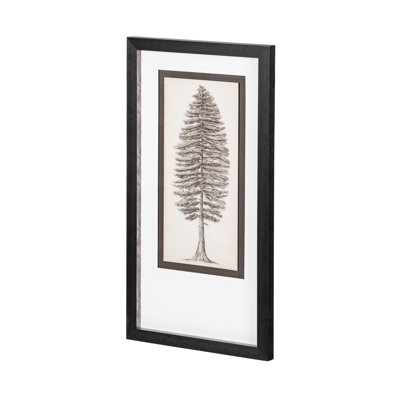 «Pacific North West Tree S Croquis» par Melissa Wang, reproduction d'art encadrée à la main avec passe-partout