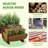 Half Barrel Planter-2040910918