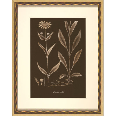 Sepia Leaves On Chocolate IV Painting