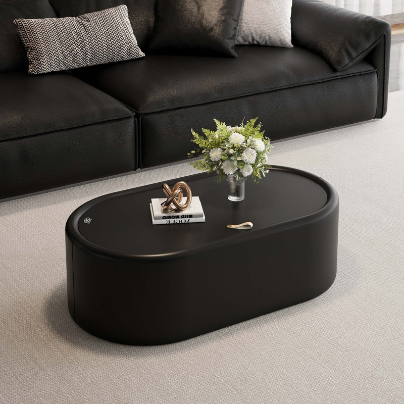 Table basse moderne ovale avec rangement caché et plateau en verre trempé, Noir