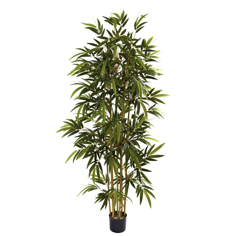 72'' Faux Bamboo Tree in Planter