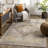 Oriental Indoor Rug-70049231